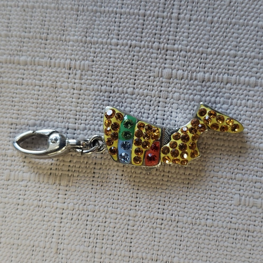 WTJ MULTI COLORED CHARM